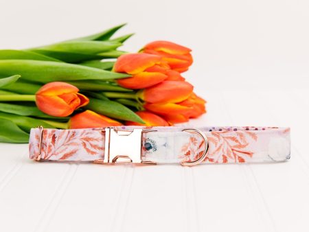 White Poppies Dog Collar w  Rose Gold Buckle Online Sale