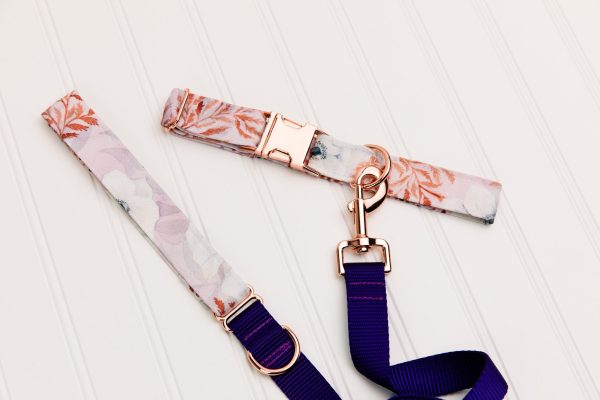 White Poppies Dog Collar w  Rose Gold Buckle Online Sale