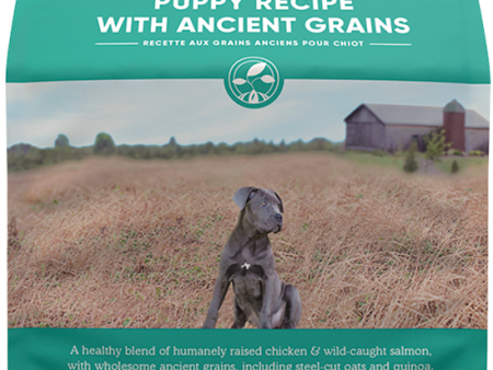 Open Farm Dog Ancient Grain Puppy Online now