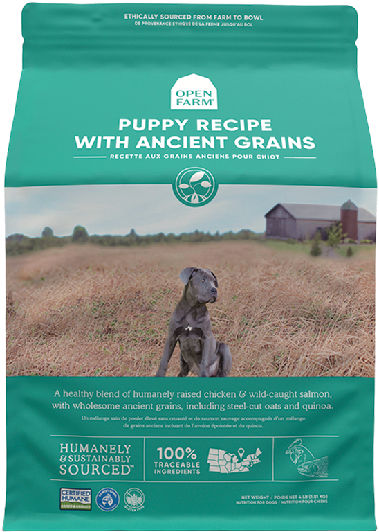 Open Farm Dog Ancient Grain Puppy Online now