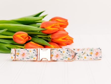 Watercolour Flowers Dog Collar w  Rose Gold Buckle on Sale