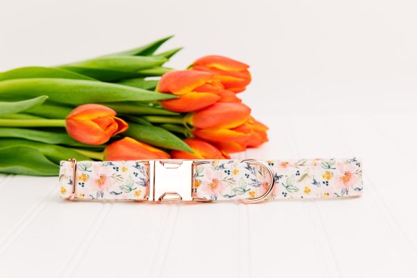 Watercolour Flowers Dog Collar w  Rose Gold Buckle on Sale