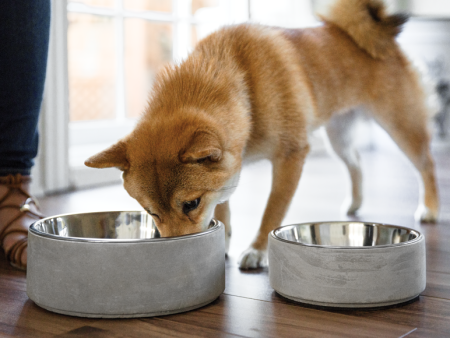 Concrete Feeding Bowl Online Hot Sale