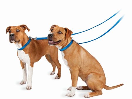 Pet Safe Nylon Leash For Cheap