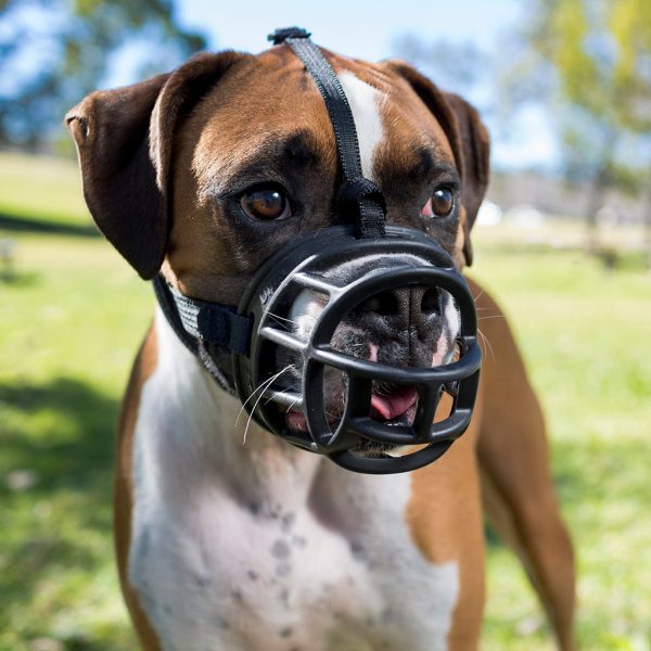 Baskersville Ultra Muzzle Black Fashion