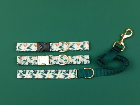 Walk In the Bark Festive White Poinsettia Collar For Sale