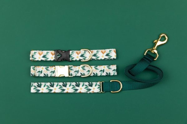 Walk In the Bark Festive White Poinsettia Collar For Sale