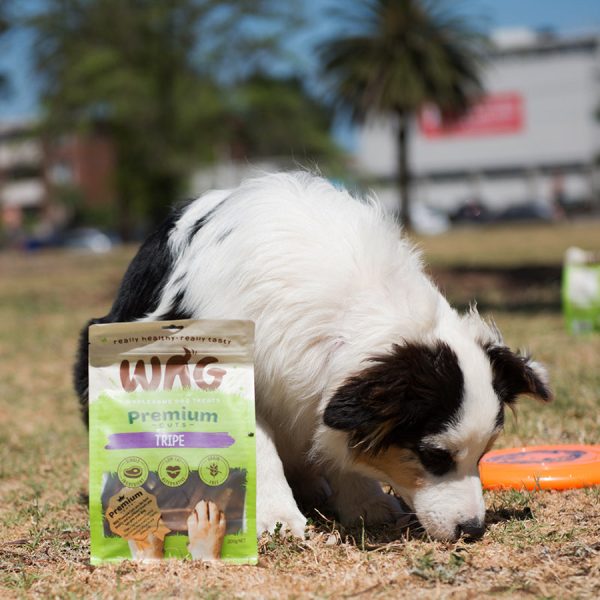 WAG Beef Tripe (50G) For Sale