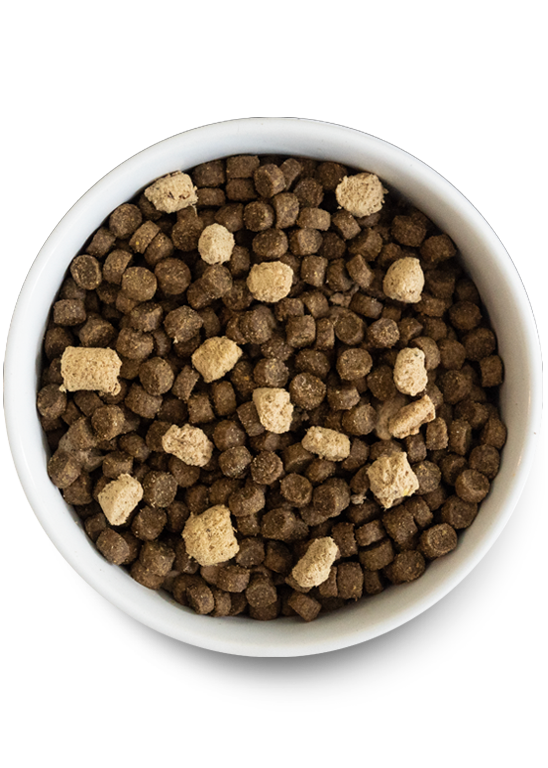 Open Farm Dog RAW MIX Grain Free Wild Ocean Hot on Sale