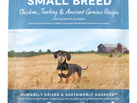 Open Farm Dog Ancient Grain Small Breed Hot on Sale