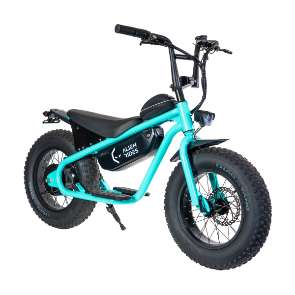 AR Atom 1000 Watt Mini Electric Bicycle Online Hot Sale