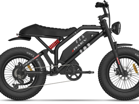 RAEV Bullet Pro E-Bike Cheap