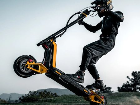 Inmotion RS Electric Scooter Online now