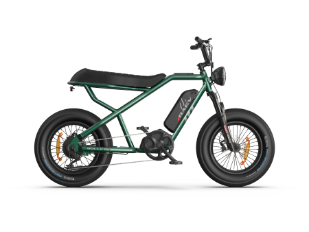 RAEV Bullet X  XF V2 Electric Bicycle For Cheap