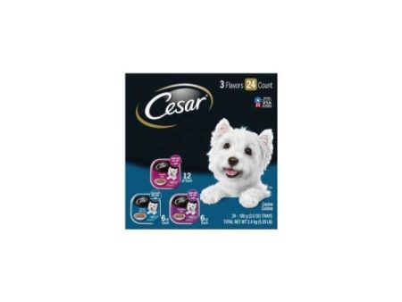 Cesar Gourmet Filets Multipack 3.5 Oz (Case of 24) by Pedigree Online now