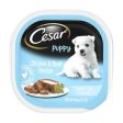 Cesar Puppy With Chicken & Beef In Meaty Juices 3.5 Oz (Case of 24) by Pedigree Hot on Sale