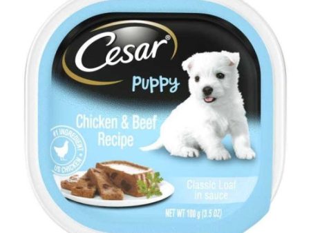 Cesar Puppy With Chicken & Beef In Meaty Juices 3.5 Oz (Case of 24) by Pedigree Hot on Sale