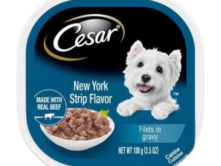 Cesar Gourmet Filets New York Strip Flavor 3.5 Oz (Case of 24) by Pedigree Discount